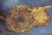 Vincent Van Gogh Two Cut Sunflowers (nn04) oil